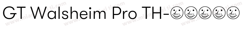 GT Walsheim Pro TH字体转换